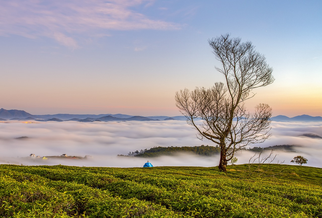 Beautiful sunset on a hill